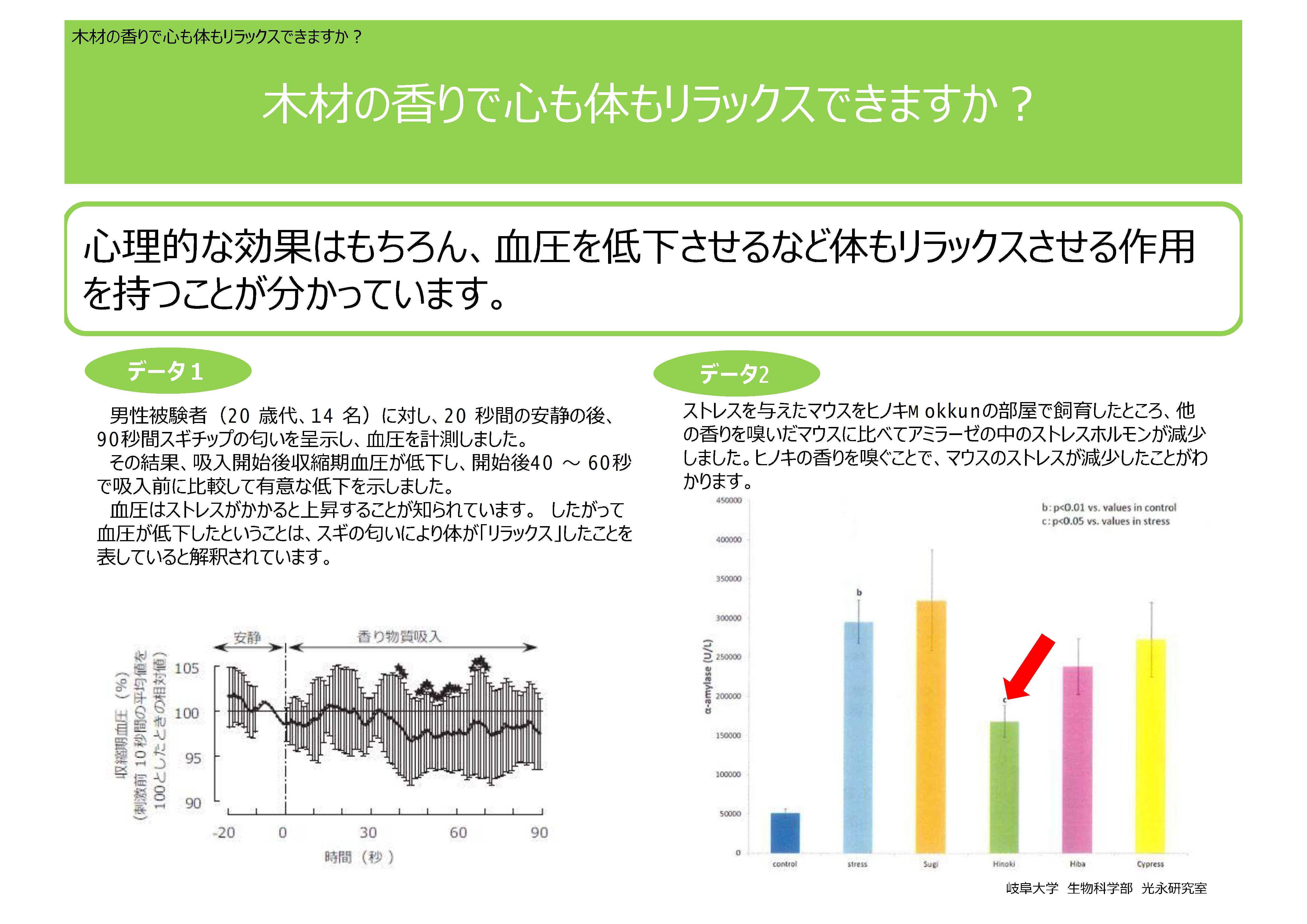 木材の機能性に関する科学的データ集をアップしました！